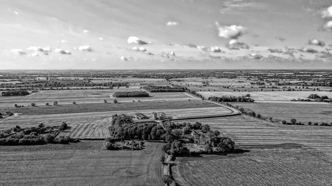 brown and green fields under cloudy sky during daytime — illustrating IFS wealth tax warning